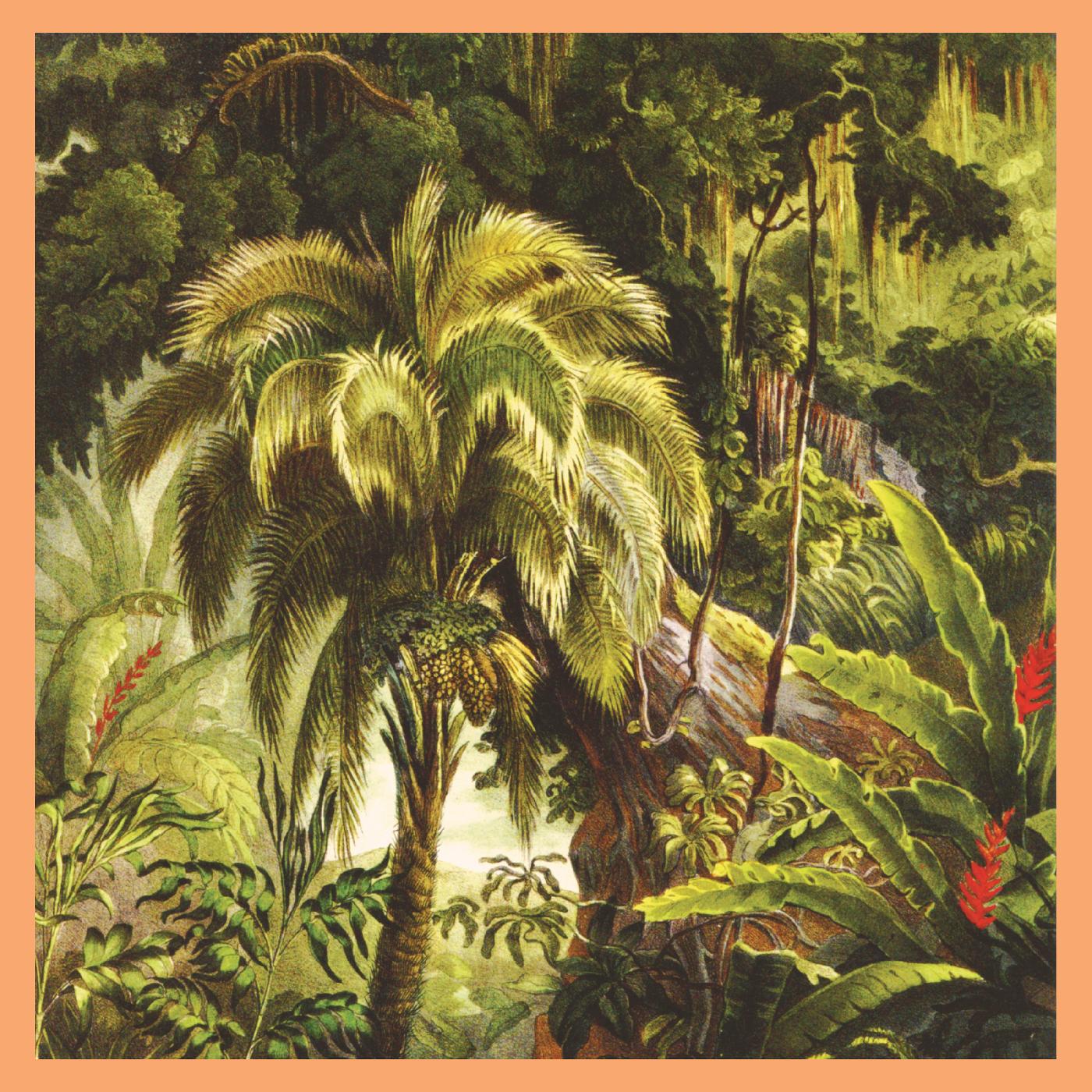 PRE-ORDER Xiu Xiu - La Foret [Jade Eco-Mix Vinyl] [Vinyl]