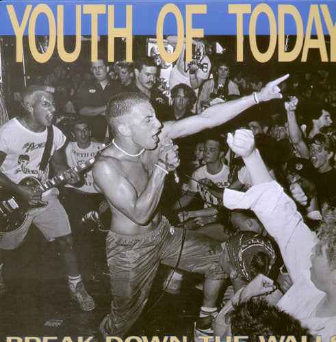 Break Down the Walls [Vinyl]