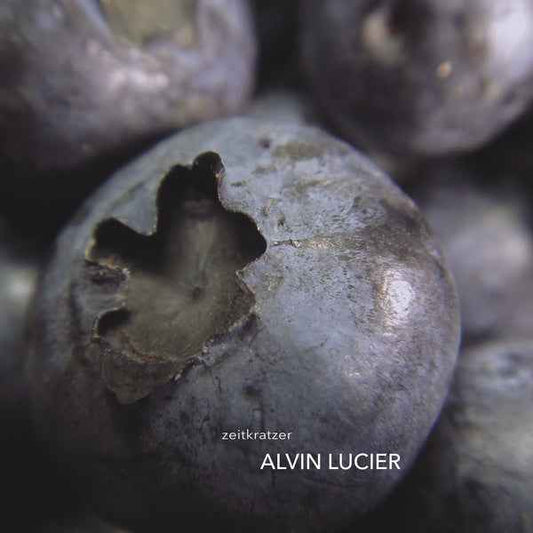Alvin Lucier [Vinyl]